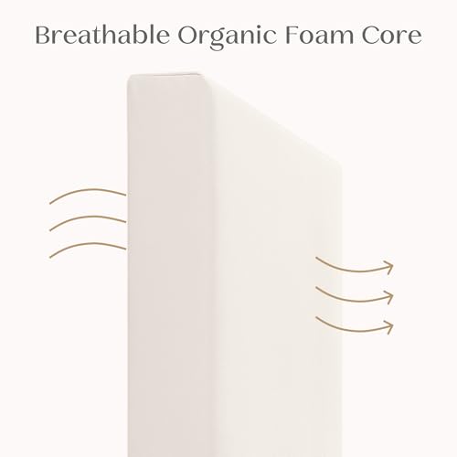 Delta Children CleanEarth Certified Organic Crib and Toddler Mattress – GOTS Certified, Non-Toxic Breathable Baby Mattress - Regulates Temperature, 10-Year Warranty
