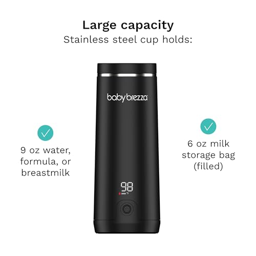 Travel and Portable Bottle Warmer