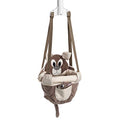 Evenflo Exersaucer Johnny Jumper Featuring Easy-to-Use Clamp Attachment for Quick and Tool-Free Set Up and Adjustable Straps to Customize The Height for Your Child, Roo
