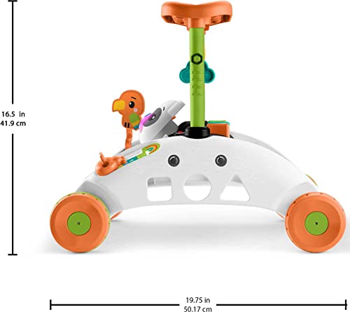 Fisher-Price Baby Push Toy 2-Sided Steady Speed Panda Walker Musical Learning Activity with 3 Blocks for Infants Ages 6+ Months (Amazon Exclusive)