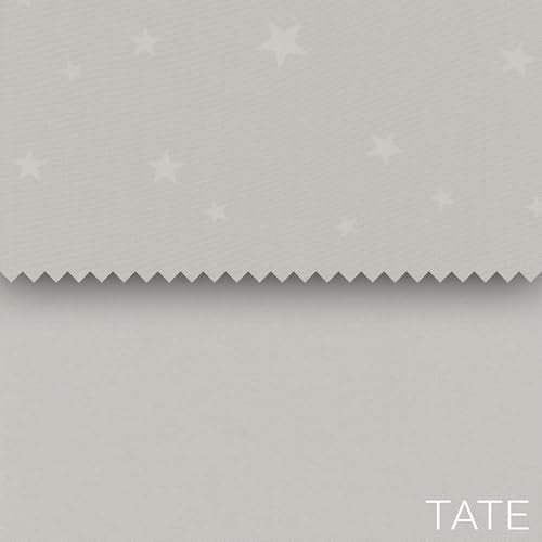 Graco Slim Spaces Compact Baby Swing - Indoor Infant Swing, Baby Registry Must Have, Gifts for New Parents