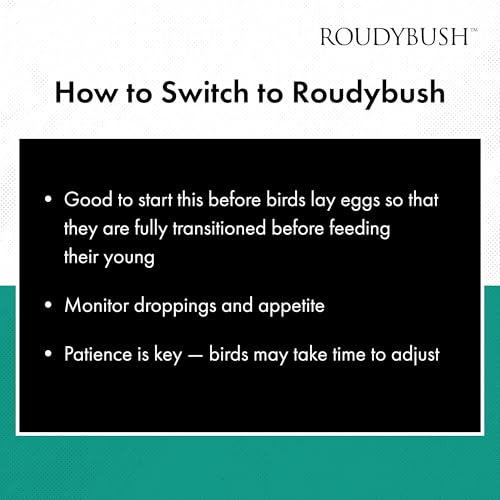 RoudyBush Squab Diet for Doves & Pigeons, Daily Food for Baby Birds, Crop Milk Replacement Formula for Baby Doves & Pigeons, Formulated Nutrition for Days 7-14, Hand Feeding Mix for Squabs, 1 Pound