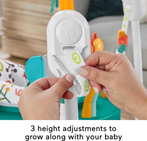 Fisher-Price Baby Bouncer Whimsical Forest Jumperoo Activity Center With Music And Lights