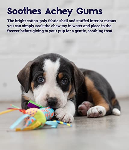 Pupstages Cool Teething Stick – Puppy Chew Toy for 0–6 Month Puppies, Teething Relief, Freezable & Durable