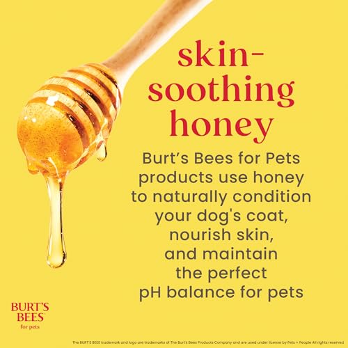Burt’s Bees for Pets Tear Free Puppy Shampoo & Conditioner with Buttermilk, 2 in 1 Gentle Dog Shampoo for Puppies, Cleans and Conditions Sensitive Skin, 16 Fl Oz