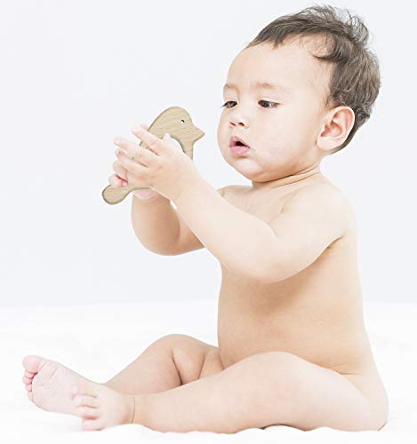 Penta Angel 10Pcs Wood Teething Rings Pain Relief Natural Wood Teething Toys Wooden Teether Animals for Infant Toddler, Turtles Swallows Dolphins Starfish Pigeons Birds Woodpeckers Fish Turtle