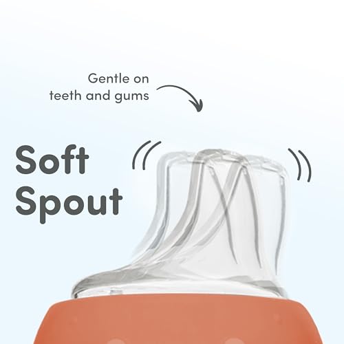 NUK Active Sippy Cup, 10 oz, 2 Pack, 12+ Months, Timeless Collection, Amazon Exclusive