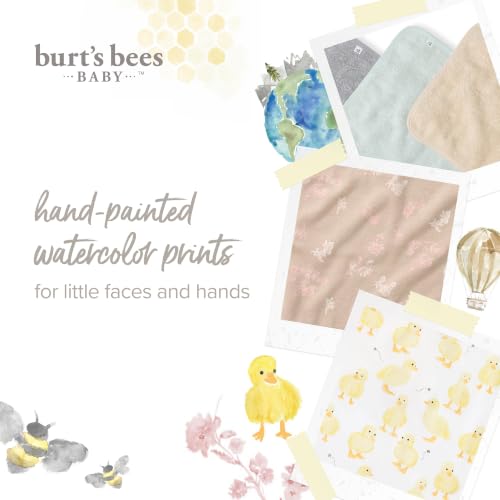 Burt's Bees Baby Washcloths for Infants, 100% Organic Cotton, Soft and Absorbent Knit Terry Face Towel, 9 x 9 in, 3-Pack