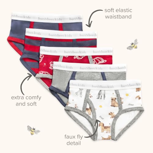 Burt's Bees Baby Toddler Boys' Underwear, Organic Cotton, Tag-Free Comfort Briefs, Pack of 5
