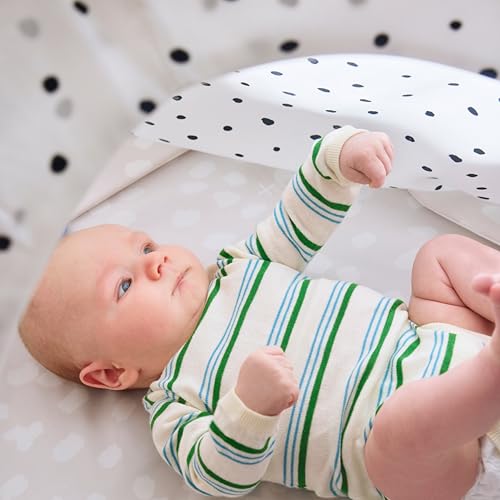 LOVEVERY | The Play Gym | Award Winning For Baby , Stage-Based Developmental Activity Gym & Play Mat for Baby to Toddler
