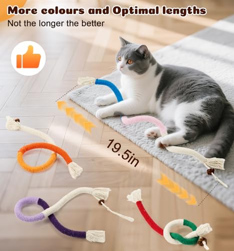 Dgerp Cat Chew Ropes 4Pcs, Cat Toys for Indoor Cats with Refillable Natural Catnip, Safe Teeth Cleaning Chew Toys, Interactive Kitten Nip Toys and All Breeds (19.5 Inches)