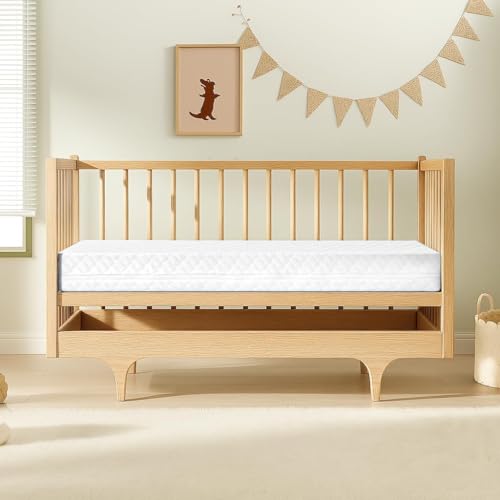 SCHNAUZER HOME Crib Mattress, Dual-Sided Breathable Baby and Toddler Memory Foam Mattress with Removable and Washable Cover, 100% Knitted Fabric, Fits Standard Cribs and Toddler Beds, 52" x 28" x 5"