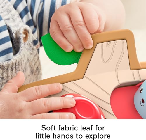 Fisher-Price Baby Toy Hide & Peek Pop-Up Animal-Themed Sensory Activity with Wood Accents & Sounds for Ages 9+ Months