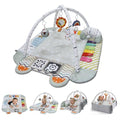 Aila+Aiden Baby Gym Play Mat, 8-in-1 Tummy Time Mat & Activity Gym, Washable Ball Pit, Infant Play Mat with Detachable Toys for Sensory Exploration and Motor Skill Development