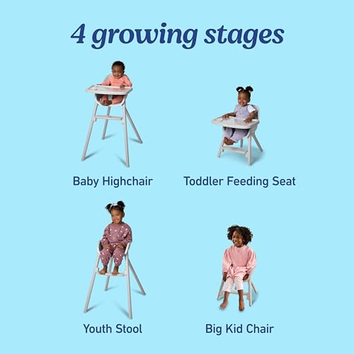 Graco Ready2Dine 4-in-1 Highchair, Portable High Chair with 4 Growing Stages, Foldable Baby High Chair, Toddler Feeding Seat, Youth Stool, and Big Kid Seat, Walker