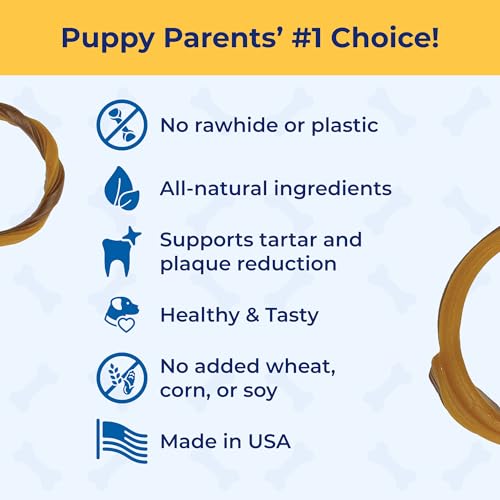 N-Bone Puppy Teething Ring Chicken Flavor (1 Pack Of 6 Rings) (113048)
