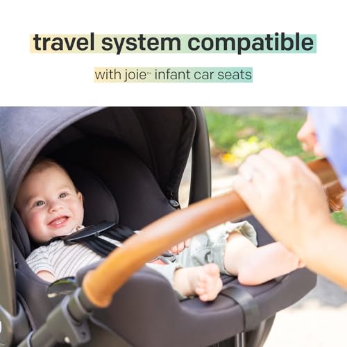 Joie Baby, Ginger DLX Stroller and Mint Latch Car Seat, Travel System (Dove)