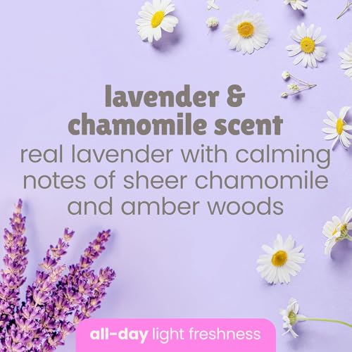 Baby Magic Calming Baby Lotion, Lavender and Chamomile, 16.5 Ounces (Pack of 6)