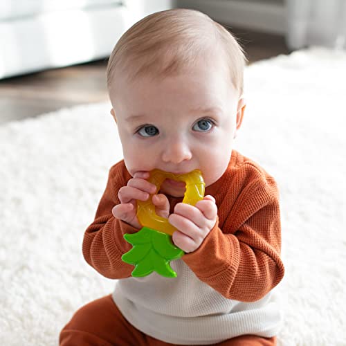 Dr. Brown's AquaCool Water-Filled Teether, Cooling Baby Teether Toy for Sore Gums, Apple Pineapple, BPA-Free, 3m+, 2-Pack