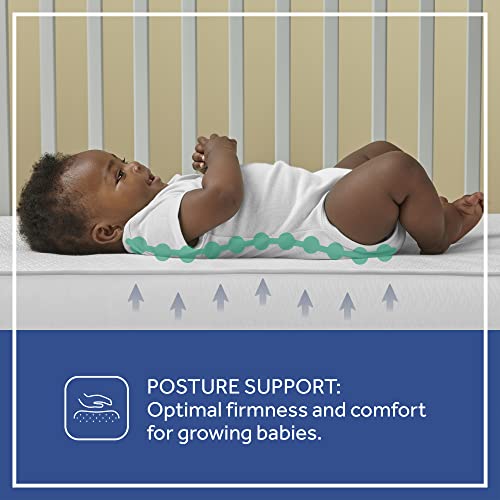 Sealy Baby Firm Rest Infant Crib Mattress - 2-Stage, 204 Coils, Breathable and Waterproof, GREENGUARD Gold Certified