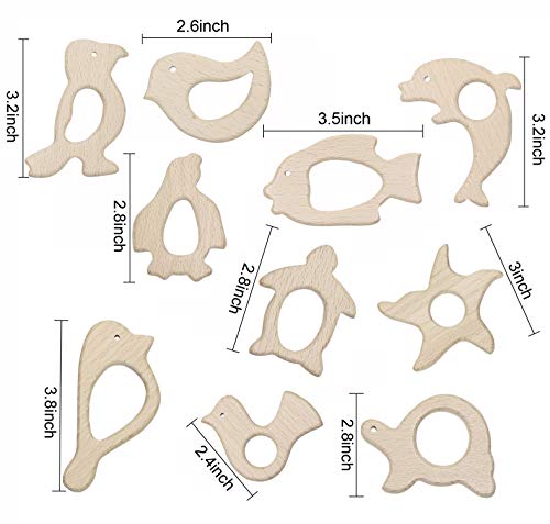 Penta Angel 10Pcs Wood Teething Rings Pain Relief Natural Wood Teething Toys Wooden Teether Animals for Infant Toddler, Turtles Swallows Dolphins Starfish Pigeons Birds Woodpeckers Fish Turtle