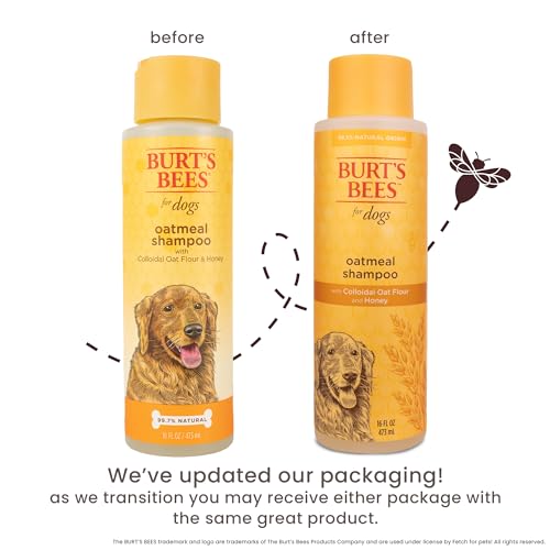 Burt's Bees for Pets Oatmeal Dog Shampoo with Honey, Soothing Formula for Itchy and Sensitive Dog Skin, Colloidal Oat Flour and Honey, pH Balanced, Sulfate-Free, 16 Fl Oz