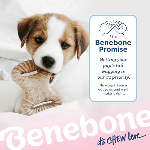 Benebone Puppy 2-Pack Dental Chew/Wishbone Dog Chew Toys, Made in USA, Real Bacon Flavor