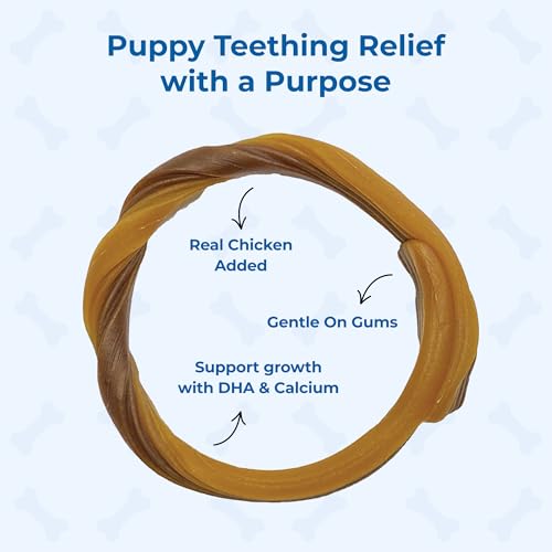 N-Bone Puppy Teething Ring Chicken Flavor (1 Pack Of 6 Rings) (113048)