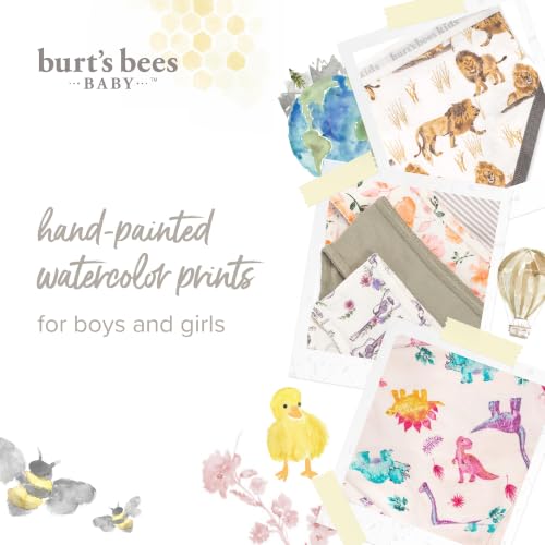 Burt's Bees Baby Girls' Organic Cotton Brief Underwear, 5-Pack