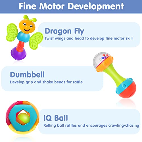iPlay, iLearn 10pcs Baby Rattles Toys Set, Infant Grab Shake Rattle, Easy Hold Sensory Teether, Babies Development Learning Music Toy, Newborn Shower Birthday Gift 1 2 3 4 5 6 7 9 10 12 Month Boy Girl