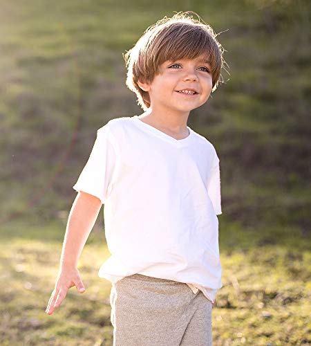 Burt's Bees Baby baby boys T-shirt, Short Sleeve V-neck Crewneck Tees, 100% Organic Cotton infant and toddler t shirts, Cloud, 18 Months US