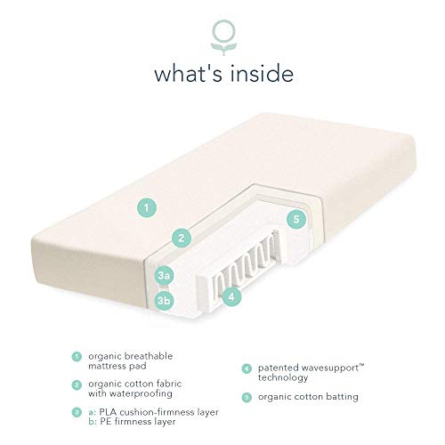 Naturepedic Organic Crib Mattress - 2-Stage Lightweight Infant & Toddler Mattress with Protector Pad - Waterproof, Breathable & Non-Toxic for Baby and Toddler Bed