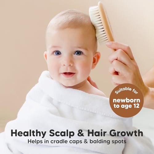 Wooden Baby Hair Brush for Toddler, Infant Cradle Cap (Walnut, Regular)