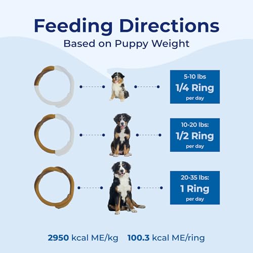 N-Bone Puppy Teething Ring Chicken Flavor (1 Pack Of 6 Rings) (113048)