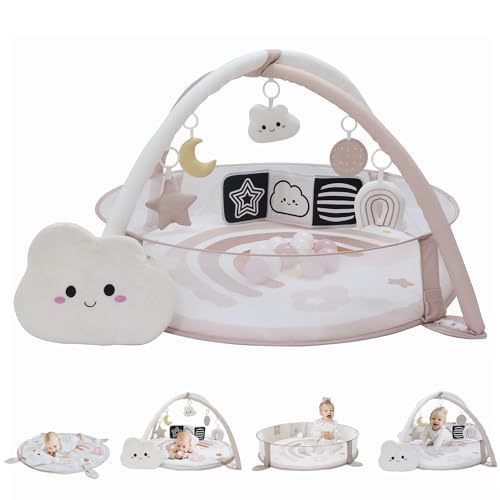 Aila+Aiden 6-in-1 XL Play Mat & Play Gym, Baby Gym, Baby Activity Gym, Sensory Exploration and Motor Skill Development Toys (Blush)
