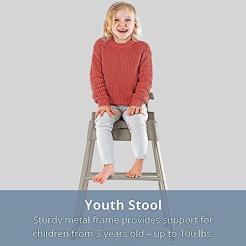 Chicco Stack Hi-Lo 6-in-1 Multi-Use Convertible High Chair, Reclines for Babies and Toddlers, Easy-Clean Baby High Chair Booster Toddler Seat Combo | Sand/Beige