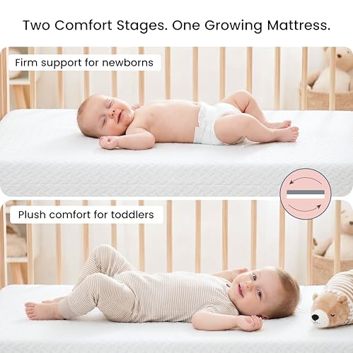 Dream On Me Baby Fairy Dust 5” Full-Size Crib & Toddler Bed Mattress in a Box – GREENGUARD Gold & BSA Certified, Breathable, Water-Resistant, Machine Washable Cover, (52" L x 28" W x 5" H)