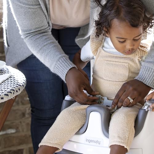 Ingenuity Baby Base 2-in-1 Booster Feeding and Floor Seat with Self-Storing Tray - Peony