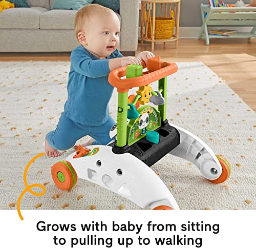 Fisher-Price Baby Push Toy 2-Sided Steady Speed Panda Walker Musical Learning Activity with 3 Blocks for Infants Ages 6+ Months (Amazon Exclusive)