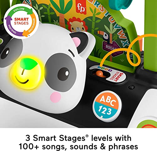 Fisher-Price Baby Push Toy 2-Sided Steady Speed Panda Walker Musical Learning Activity with 3 Blocks for Infants Ages 6+ Months (Amazon Exclusive)