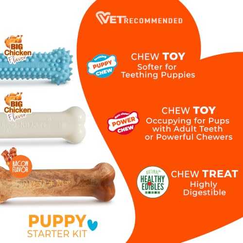 Nylabone New Puppy Starter Kit, Chew Toys & Natural Chew Treat for Puppies, Puppy Enrichment Teething Toys, Blue, Long Lasting Chicken & Bacon Flavor, Small Dogs - Up to 25 Ibs, 3 Pack