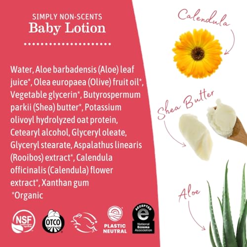 Earth Mama Simply Non-Scents Baby Lotion for Dry Skin - Calendula Cream for Newborn Skin Care - 8 oz - Fragrance Free - Infant Essentials