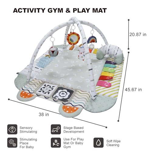 Aila+Aiden Baby Gym Play Mat, 8-in-1 Tummy Time Mat & Activity Gym, Washable Ball Pit, Infant Play Mat with Detachable Toys for Sensory Exploration and Motor Skill Development
