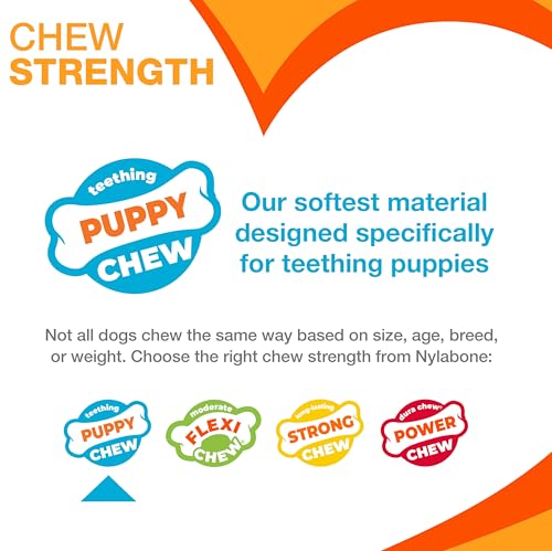 Nylabone New Puppy Starter Kit, Chew Toys & Natural Chew Treat for Puppies, Puppy Enrichment Teething Toys, Blue, Long Lasting Chicken & Bacon Flavor, Small Dogs - Up to 25 Ibs, 3 Pack