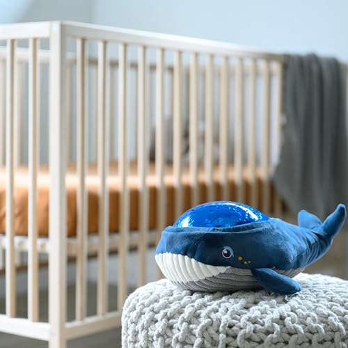 Angelcare Bobbi The Whale Ceiling Night Light Projector for Babies and Kids, Sleep Soother with Adjustable Volume Lullabies, White Noises, 3 Night Light Intensities