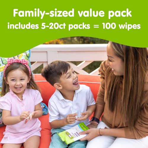Boogie Antibacterial Hand Wipes - 100 Count