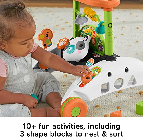 Fisher-Price Baby Push Toy 2-Sided Steady Speed Panda Walker Musical Learning Activity with 3 Blocks for Infants Ages 6+ Months (Amazon Exclusive)