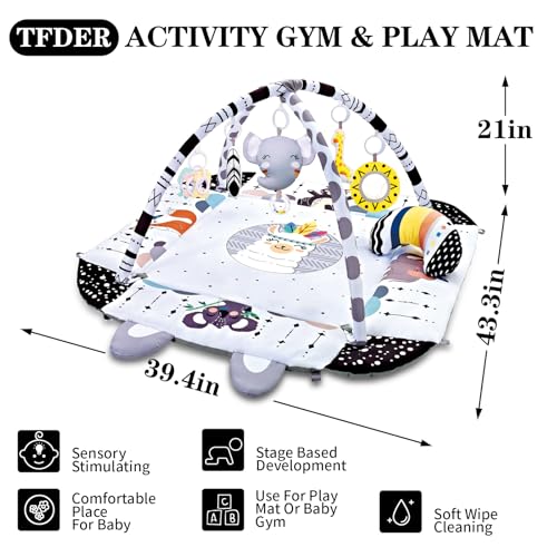 TFDER Baby Gym Play Mat, 8-in-1 Tummy Time Mat & Activity Gym, Washable Ball Pit, Infant Play Mat with Detachable Toys for Sensory Exploration and Motor Skill Development