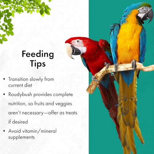 RoudyBush Squab Diet for Doves & Pigeons, Daily Food for Baby Birds, Crop Milk Replacement Formula for Baby Doves & Pigeons, Formulated Nutrition for Days 7-14, Hand Feeding Mix for Squabs, 1 Pound