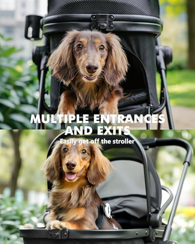 Pawccoli Pet Stroller for Small Dogs and Cats, One-Click Foldable Dog Stroller with Detachable Carrier & 3 Safety Tethers, Holds up to 33 lbs, Storage Basket & Cup Holder, Breathable Mesh, Black